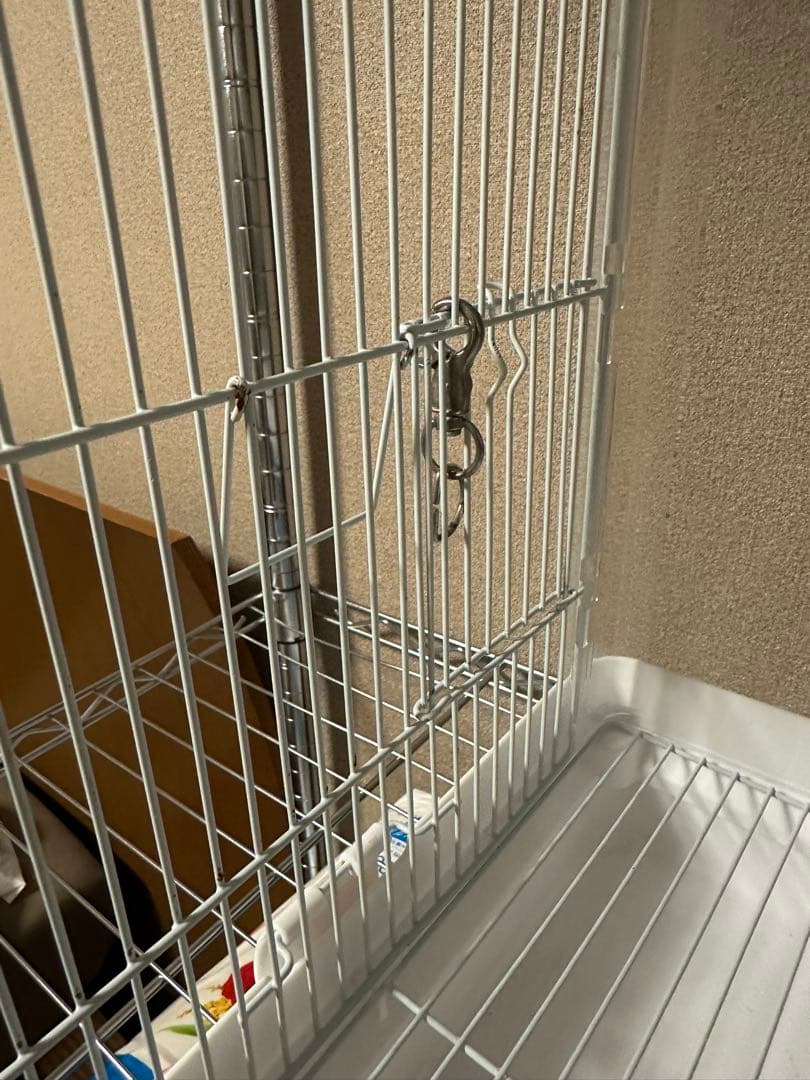 クリアバード35 3個