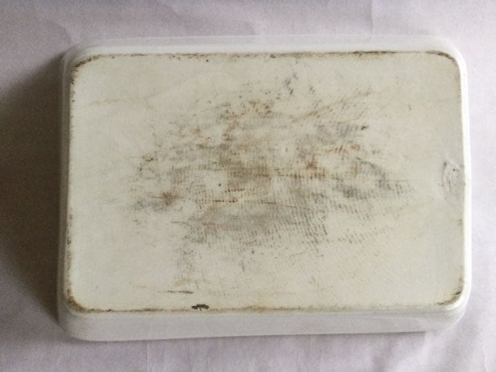 白磁　フランス　1900年代初め