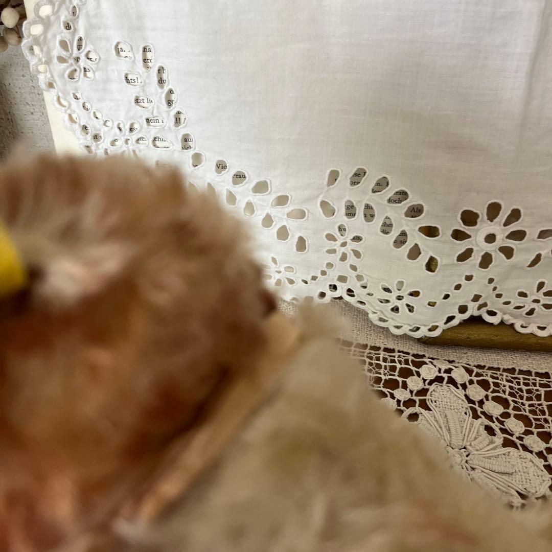 シュタイフ　犬のぬいぐるみ　Molly Puppy Steiff タグボタン有