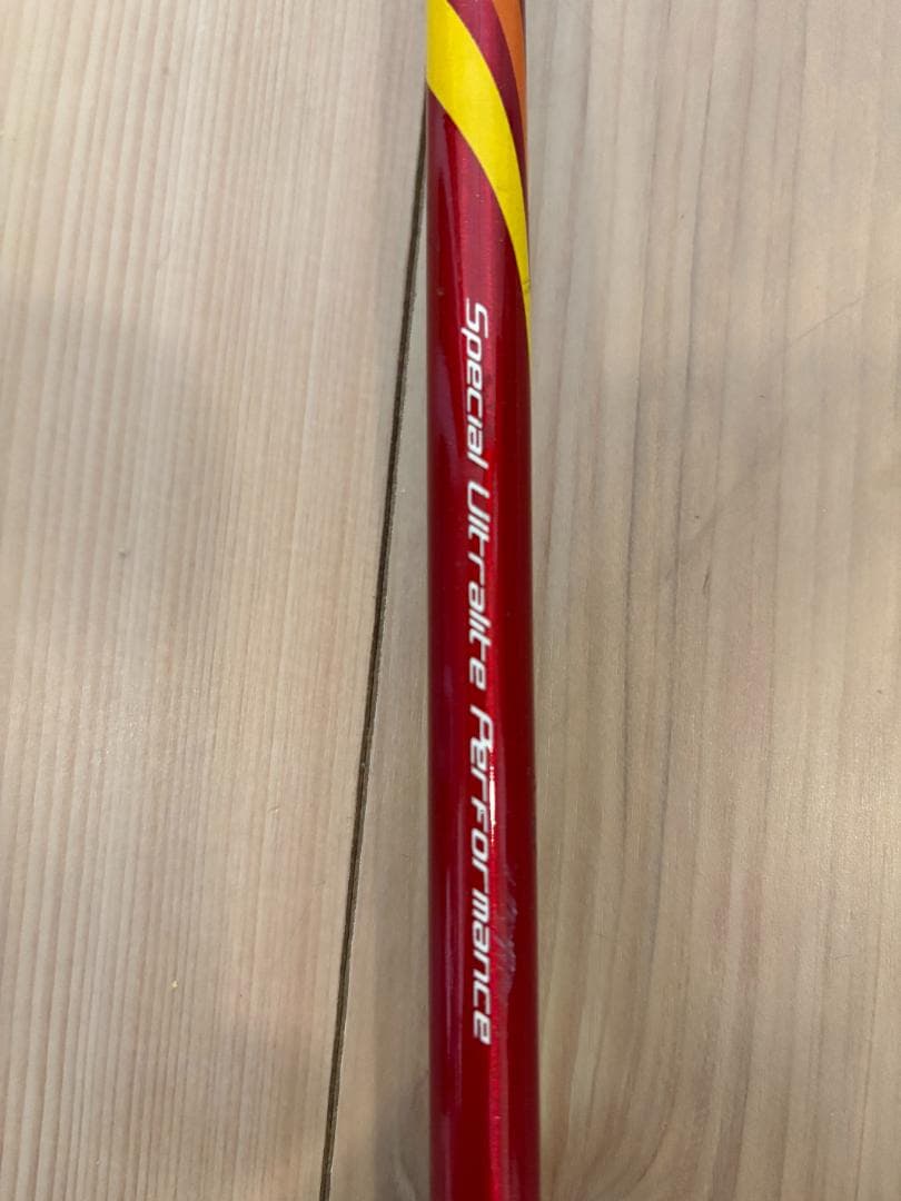 【おまけ付】SINANO（シナノ）フリーFAST α / RD　+　LEKI