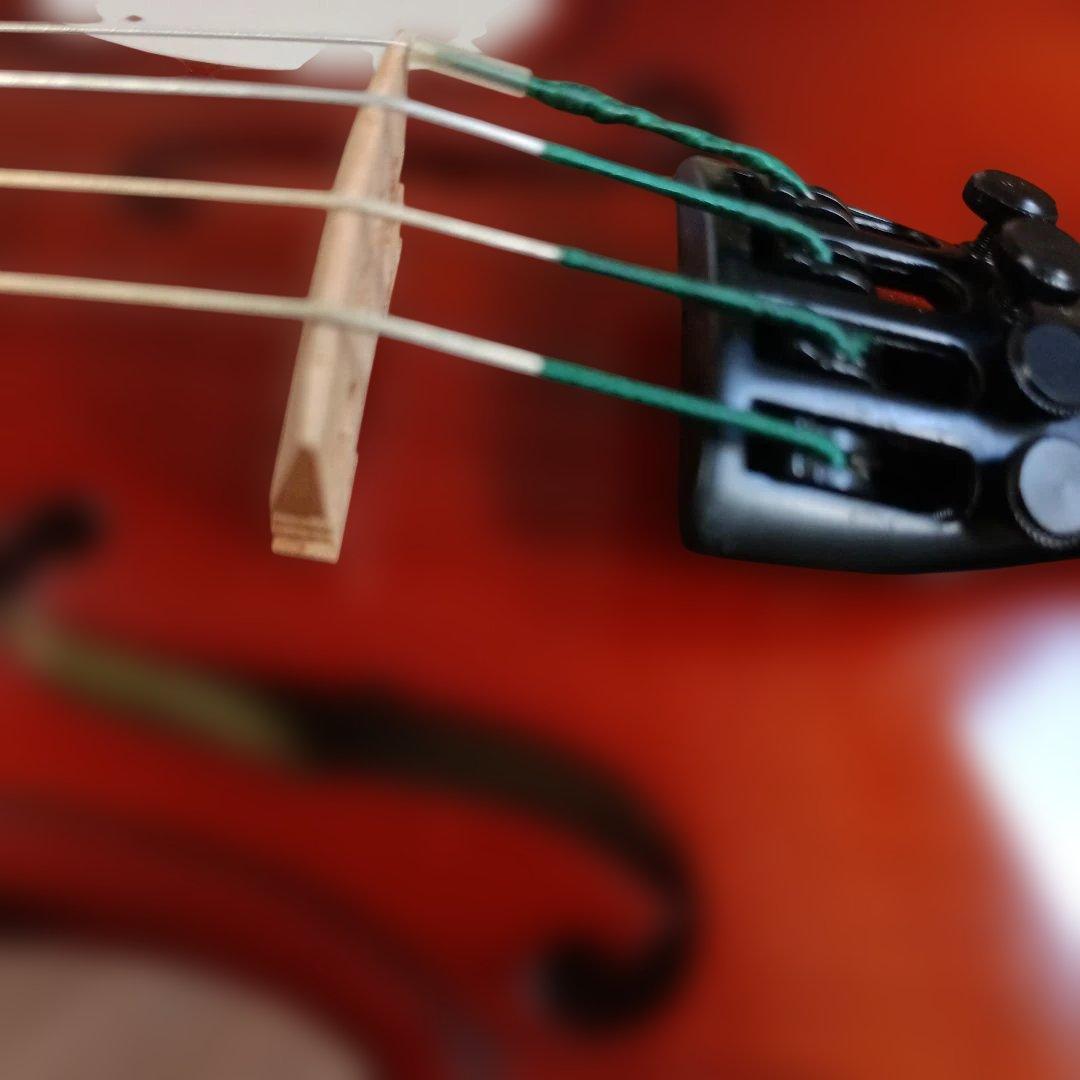 カルロジョルダーノ　バイオリン　1/16