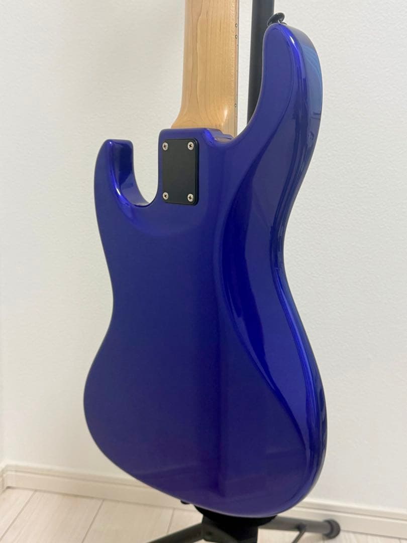 Wood Custom Guitars Vibe Standard 5弦ベース