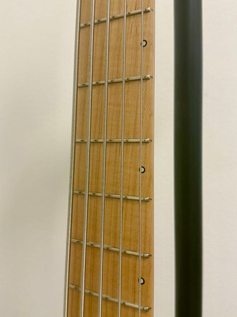 Wood Custom Guitars Vibe Standard 5弦ベース