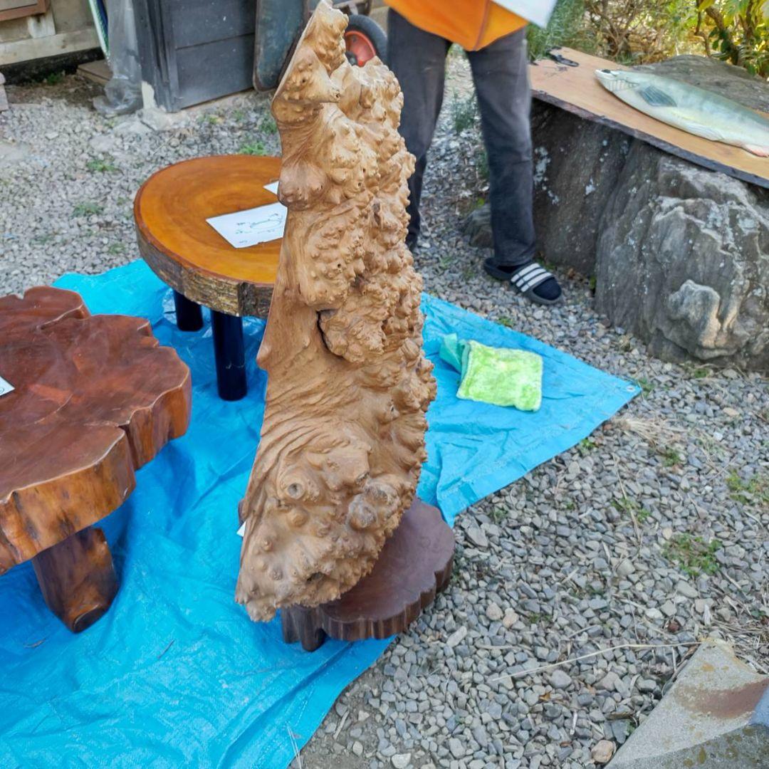 イチイ（一位）のつい立てです。