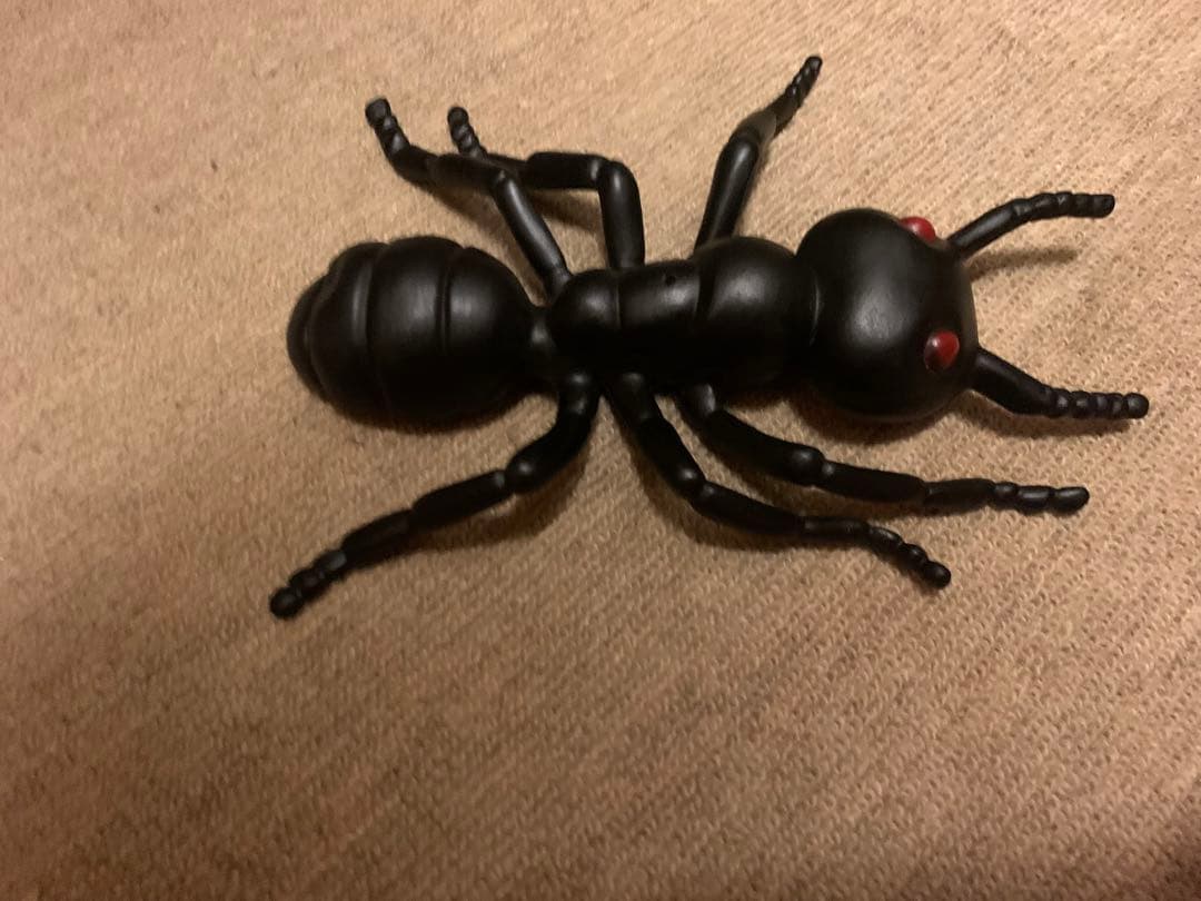 呪物？　ホーンテッドアイテム。