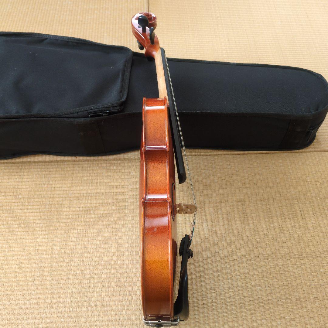 Andreas Eastman VL80　3/4 2010