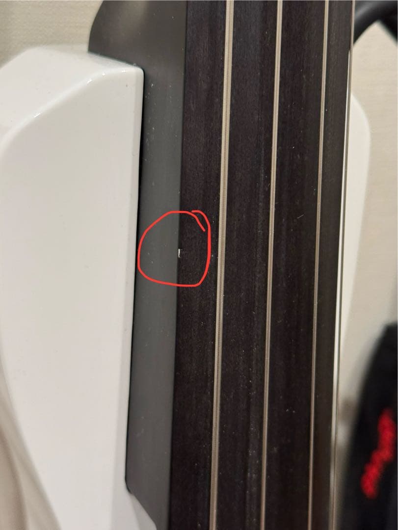 Stagg サイレントチェロ・電子チェロ 弓・ケース付き 即購入可