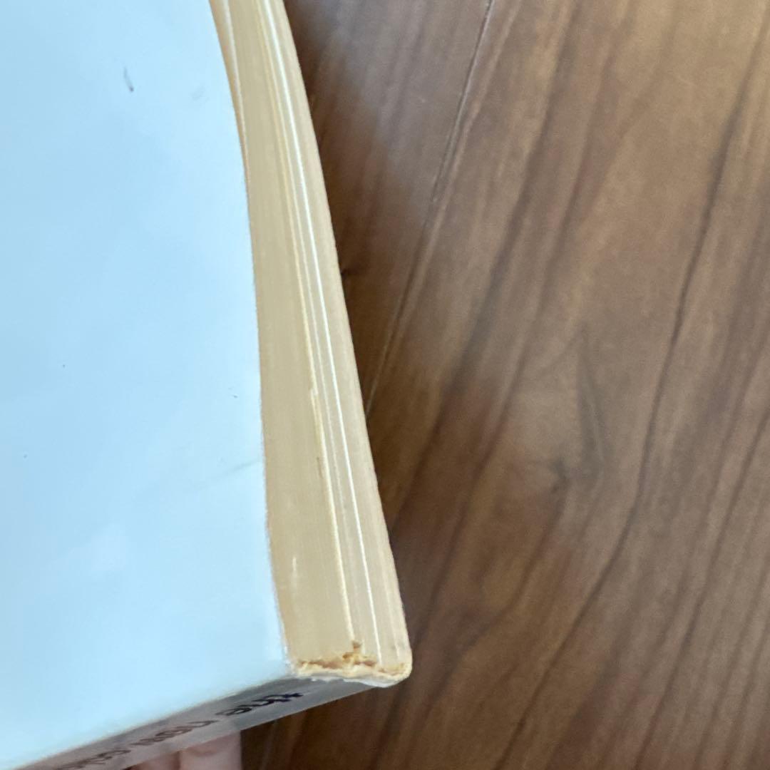 アート・デザイン・音楽 the new color photography