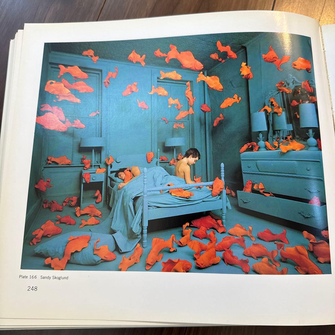 アート・デザイン・音楽 the new color photography