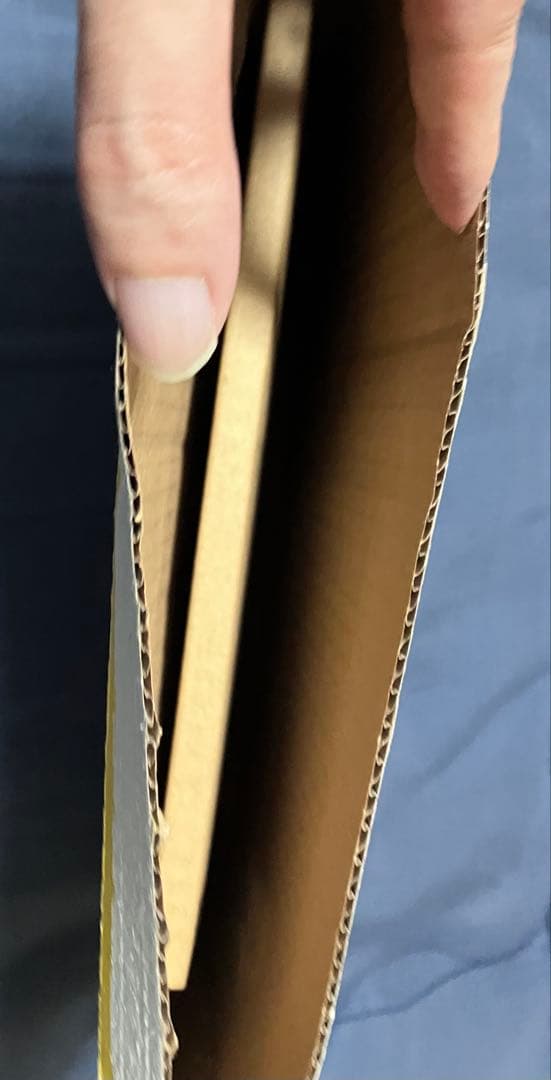 幻の『カオス・ソルジャー』GETキャンペーン第1弾 当選品 中箱未開封品