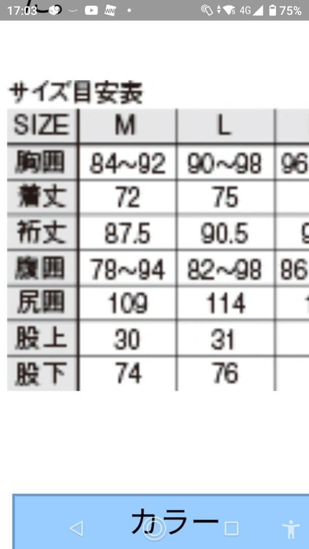 がまかつ　フィッシングレインスーツL　 GM-3432