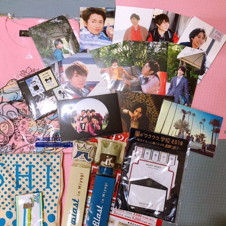 嵐 ライブ コンサート グッズ 5x20 ワクワク学校 31点