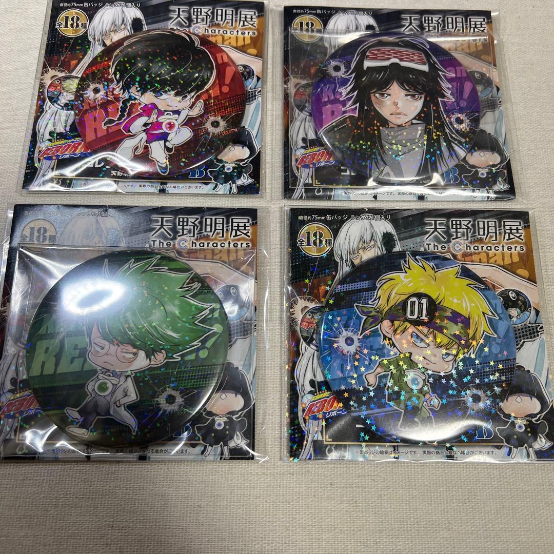 【全キャラコンプ】天野明展 家庭教師ヒットマンREBORN!缶バッジver.B
