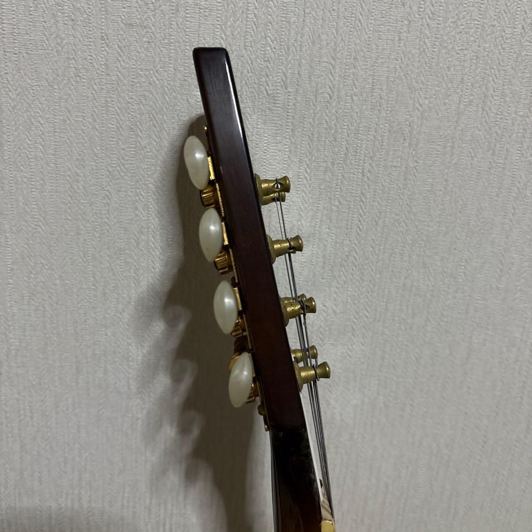 BlueBell ブルーベル フラット マンドリン ビンテージ　ギター　楽器