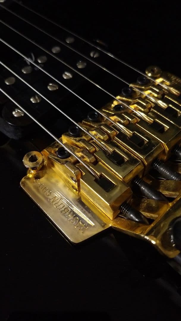 ギター Washburn SS-40 B / STEVE STEVENS model