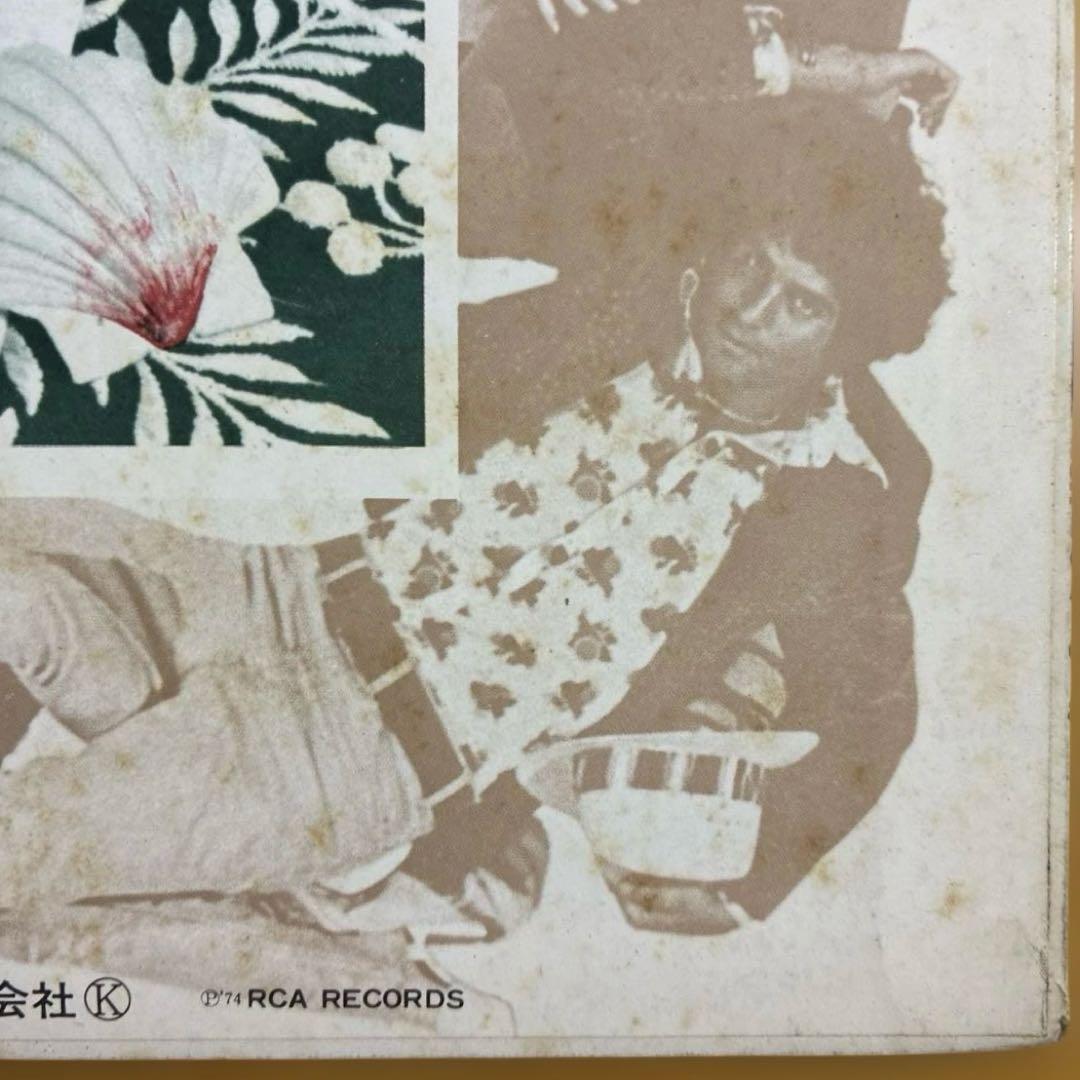 ベルリン/ルー・リード　国内盤レコード 別解説・歌詞カード付き1974年