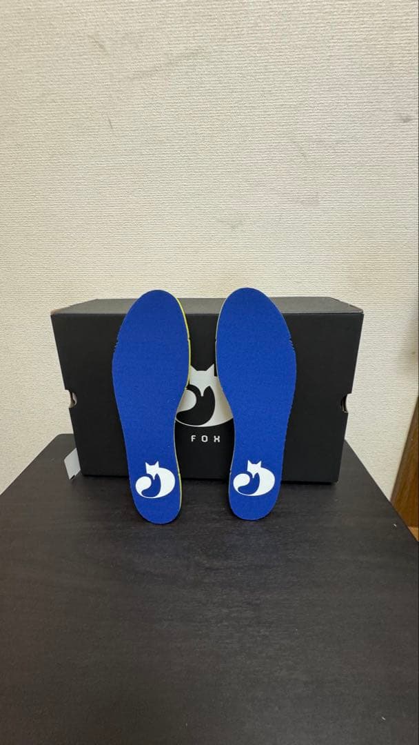 アンダーアーマーcurry FOX2