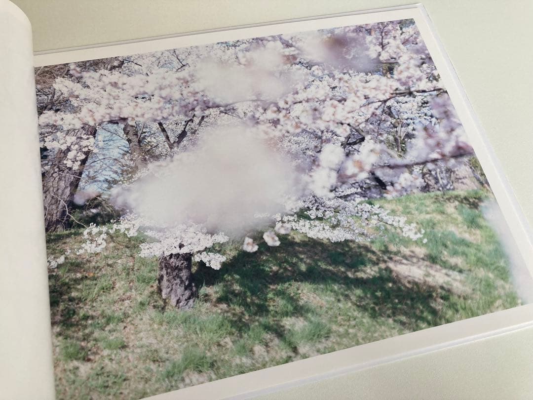 鈴木理策 / 写真集2冊セット（Sakura、White）