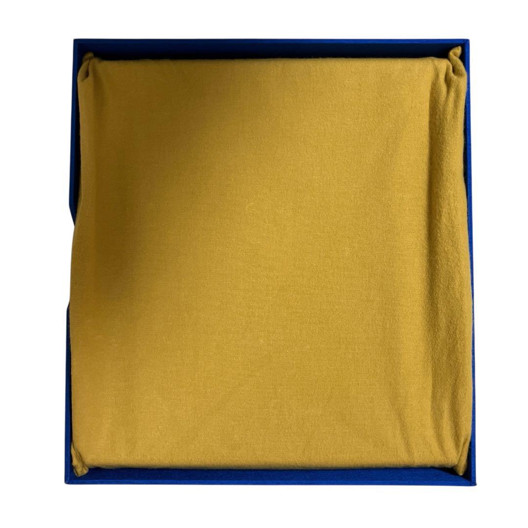 限定版　フェルメール全作品集　複製画「真珠の耳飾りの少女」付き　輸送箱付き