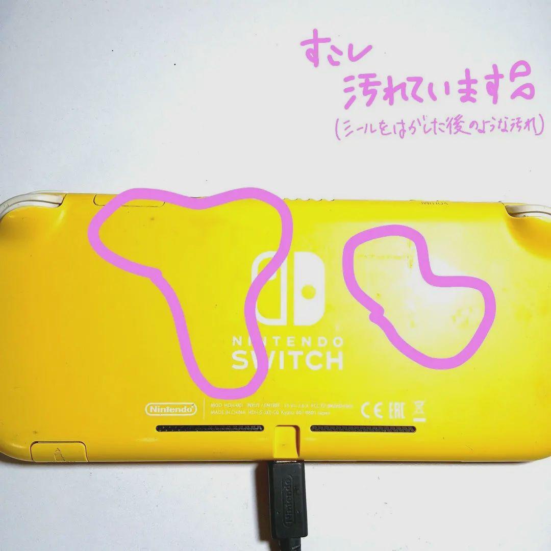 【Nintendo Switch Lite＆ジョイコン】