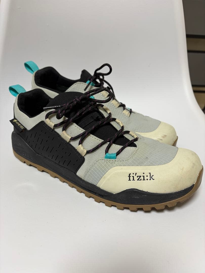 フィジーク　シューズ　サイズ43 ゴアテックス