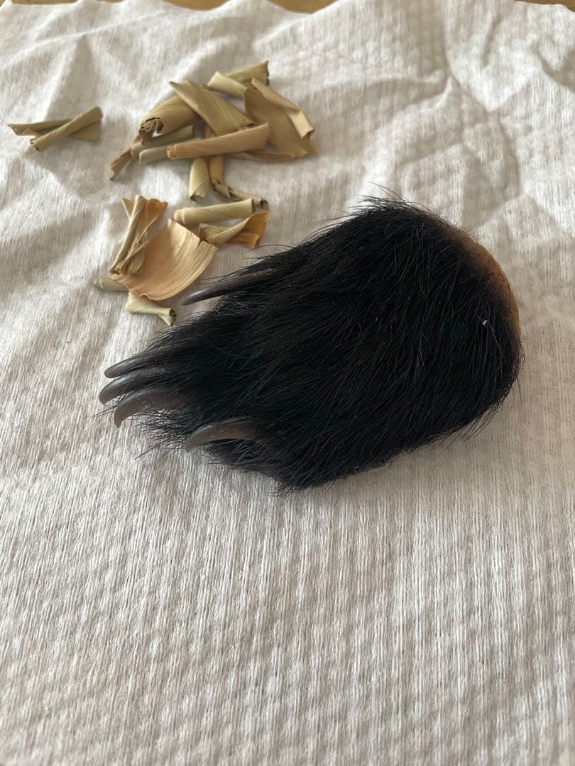 子熊の手/手芸/素材/魔除け/お守り/厄除け/置物/剥製