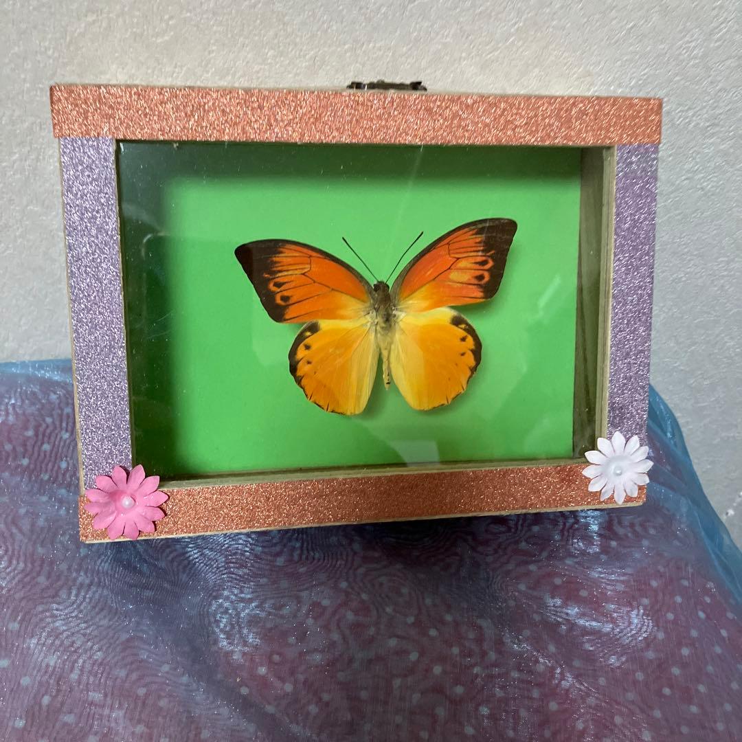 デタニツマベニチョウ