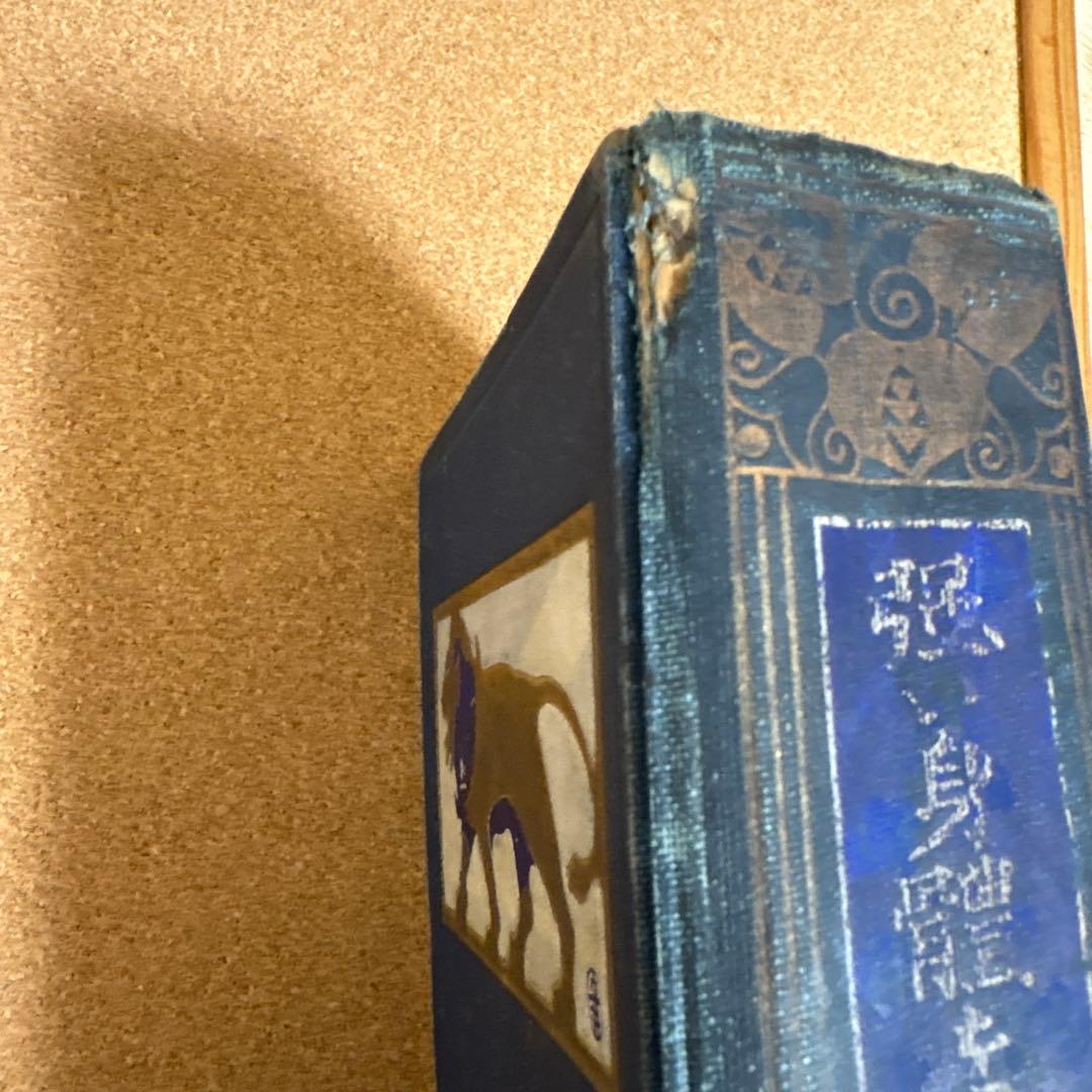 強い身体を造る法 川合春充(肥田春充）著　（大正５年）