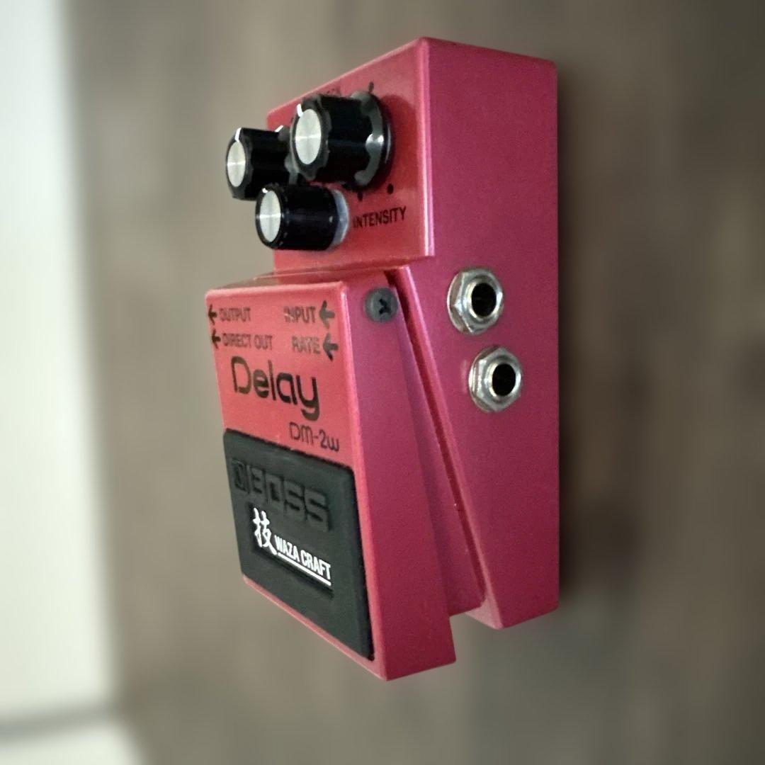 BOSS DM-2w ディレイエフェクター　※背面パーツ変更あり