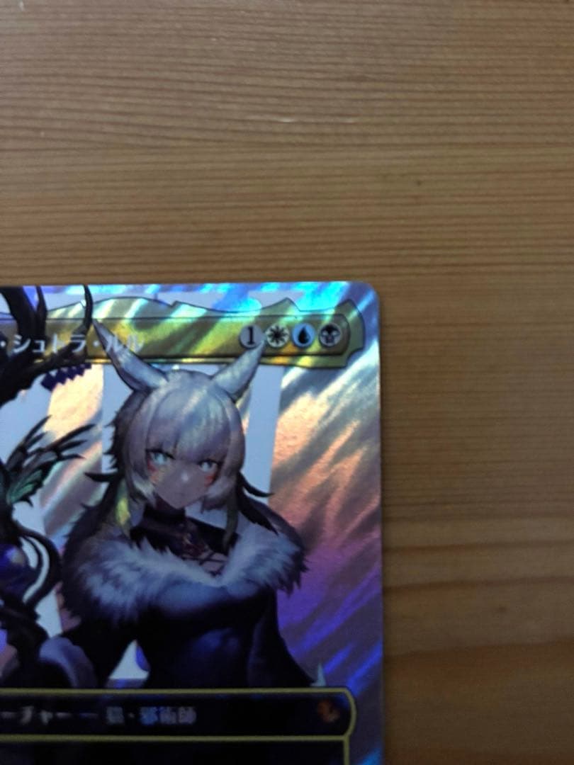 MTG FF【JP版 ボーダーレス サージ・Foil】 魔女、ヤ・シュトラ・ルル