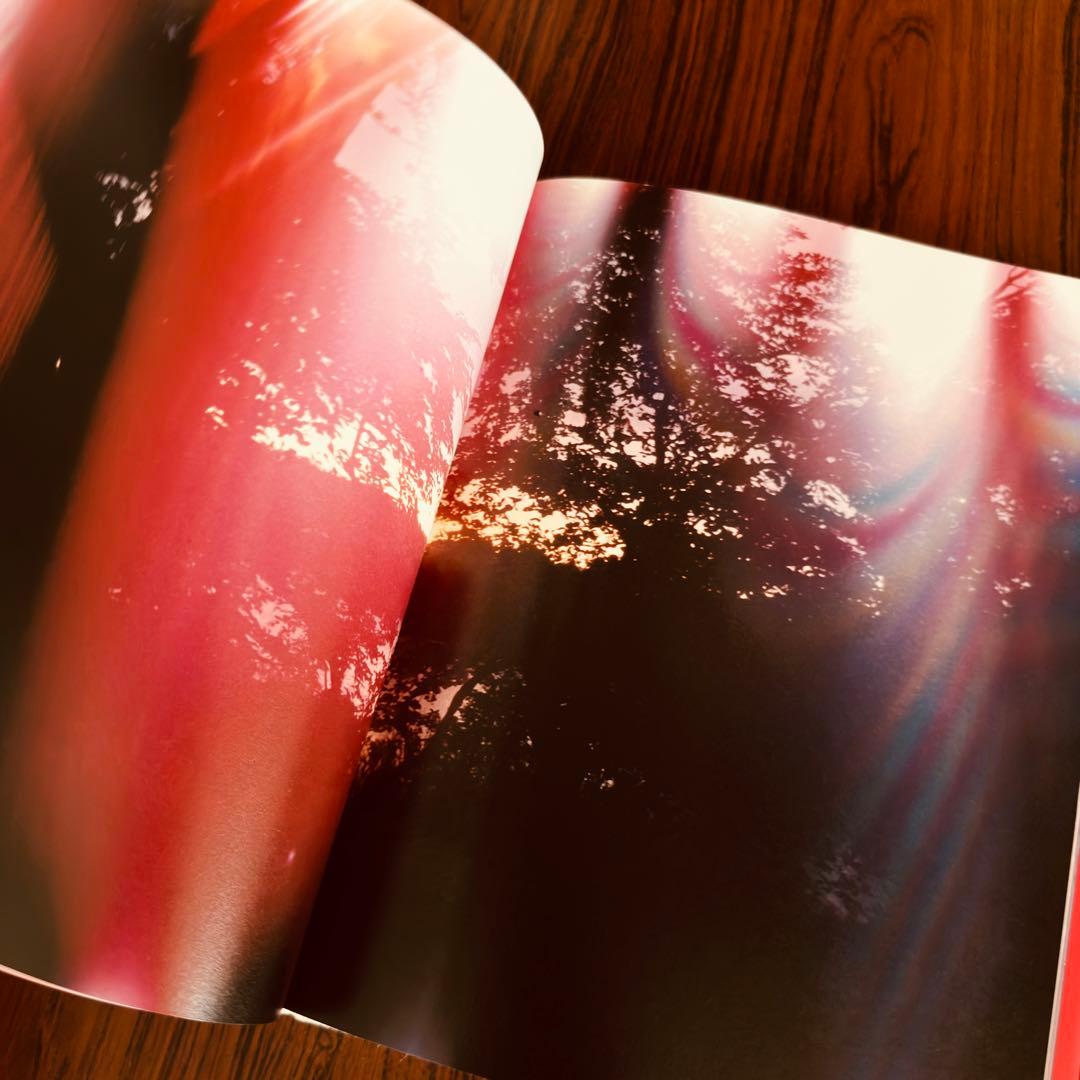 アート・デザイン・音楽 Mark Borthwick Abandom Reverie`