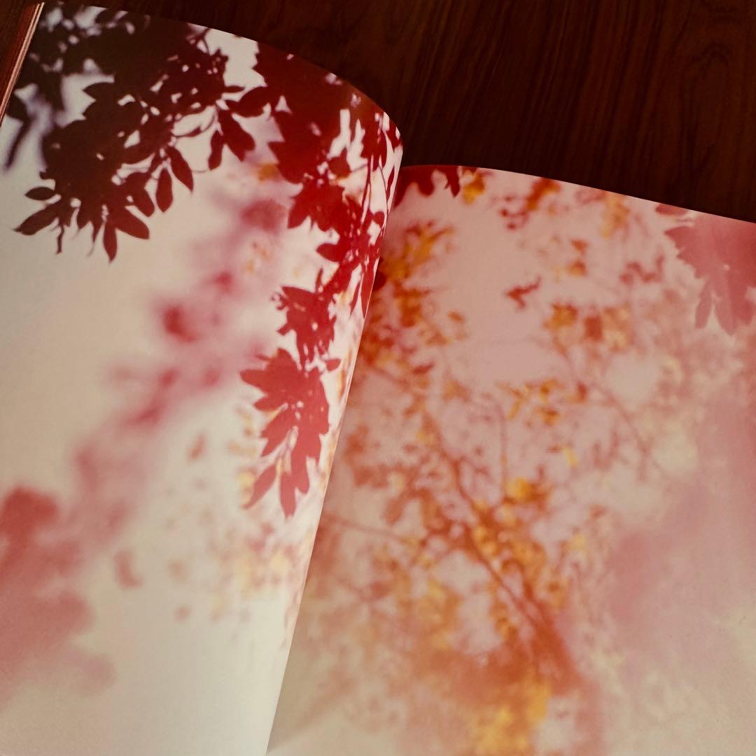 アート・デザイン・音楽 Mark Borthwick Abandom Reverie`