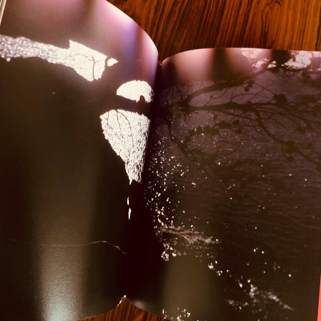 アート・デザイン・音楽 Mark Borthwick Abandom Reverie`