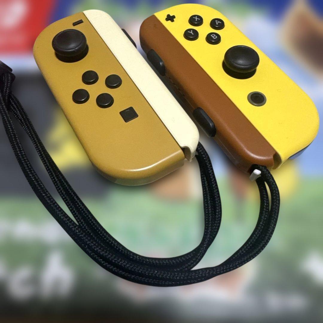 Nintendo Switch ポケットモンスター ピカチュウ イーブイ 任天堂