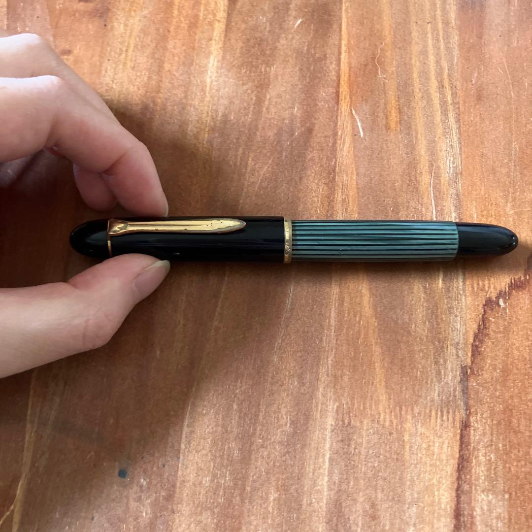 【2/15まで出品】ペリカン 140