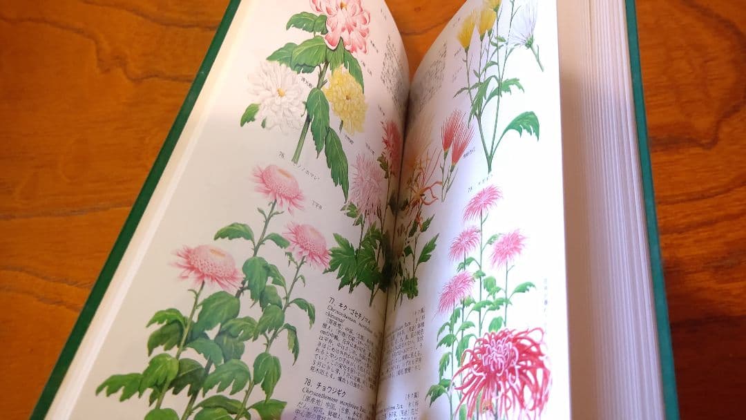 コンパクト版『原色園芸植物図鑑』Ⅰ～Ⅳ (全巻) 北隆館