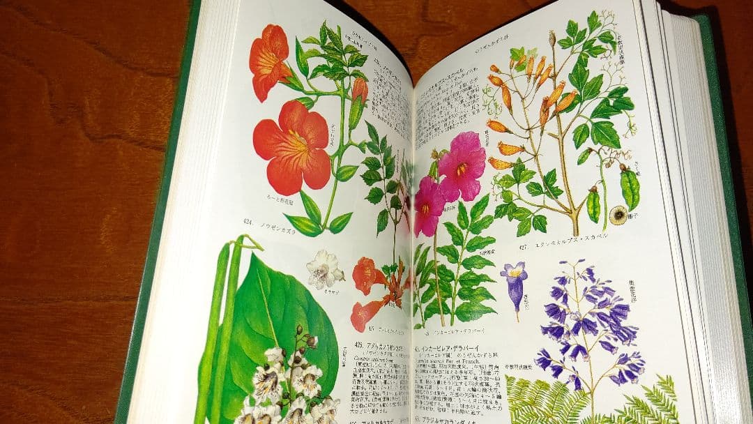 コンパクト版『原色園芸植物図鑑』Ⅰ～Ⅳ (全巻) 北隆館