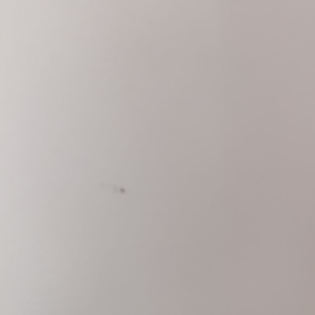 Lチェンジザワールドパンフレットドンキ・キホーテ限定