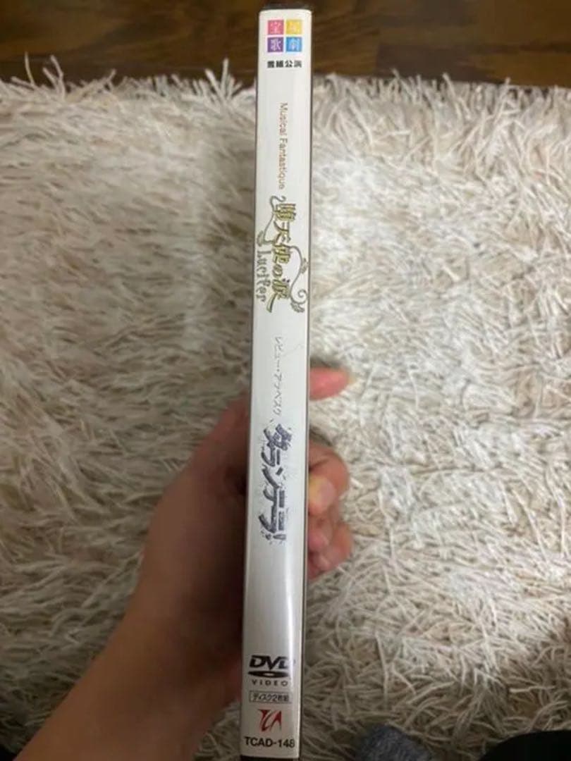 宝塚　堕天使の涙　DVD 新品未開封　廃盤レア　おまけパンフレット