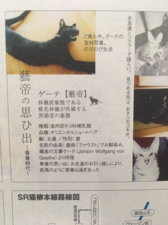 椎名林檎 スケジュール帳 2005年