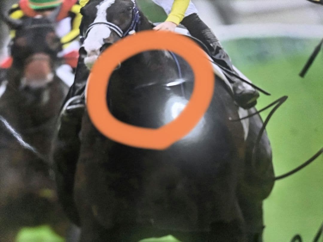 【送料込み】フォロワー割引☆クロワデュノール　北村友一　サイン入りポスター