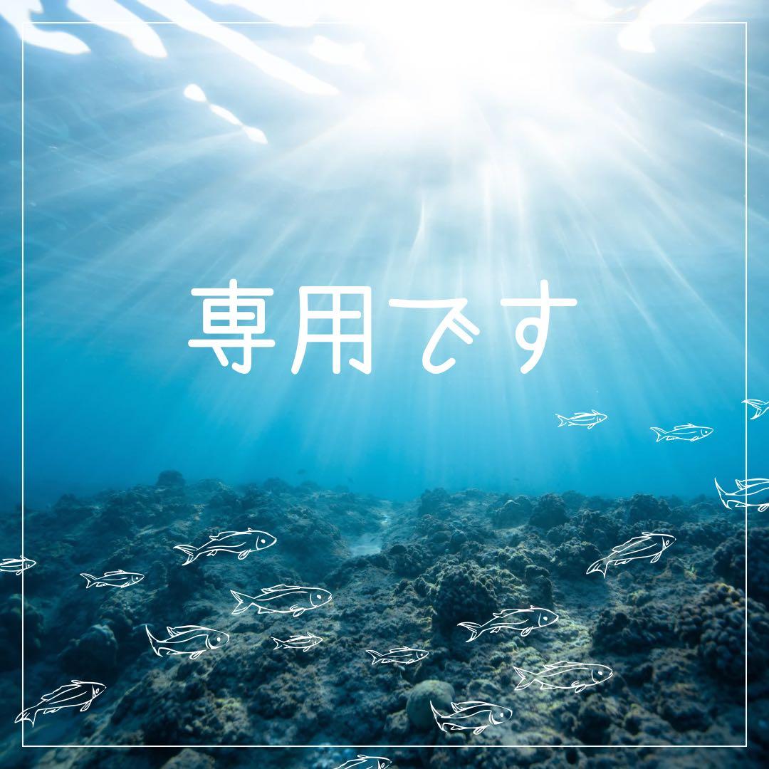 中古品　美品　プラグ　カーペンター　鮪郎　カットビ　3つセット　ルアー