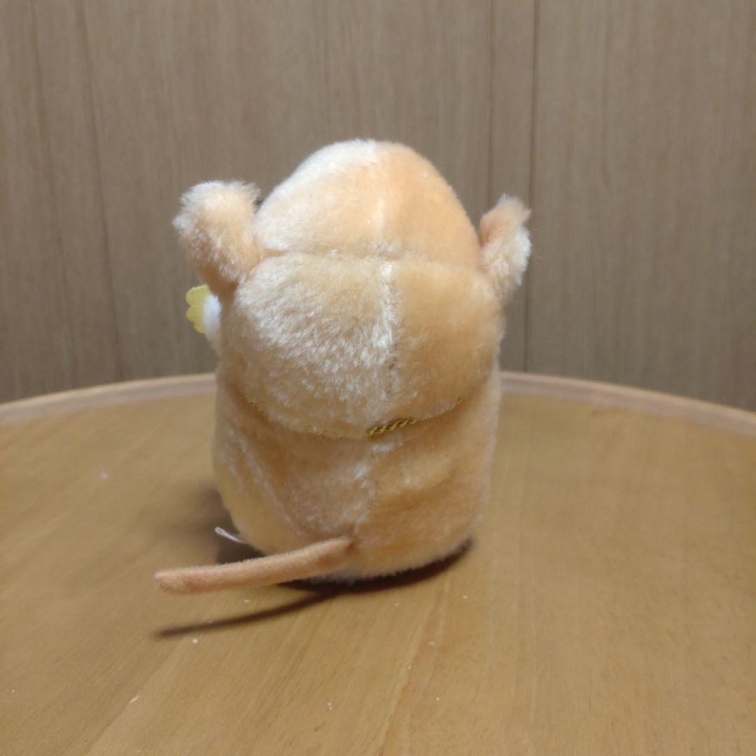 南の虹のルーシー　わんぱくモッシュ