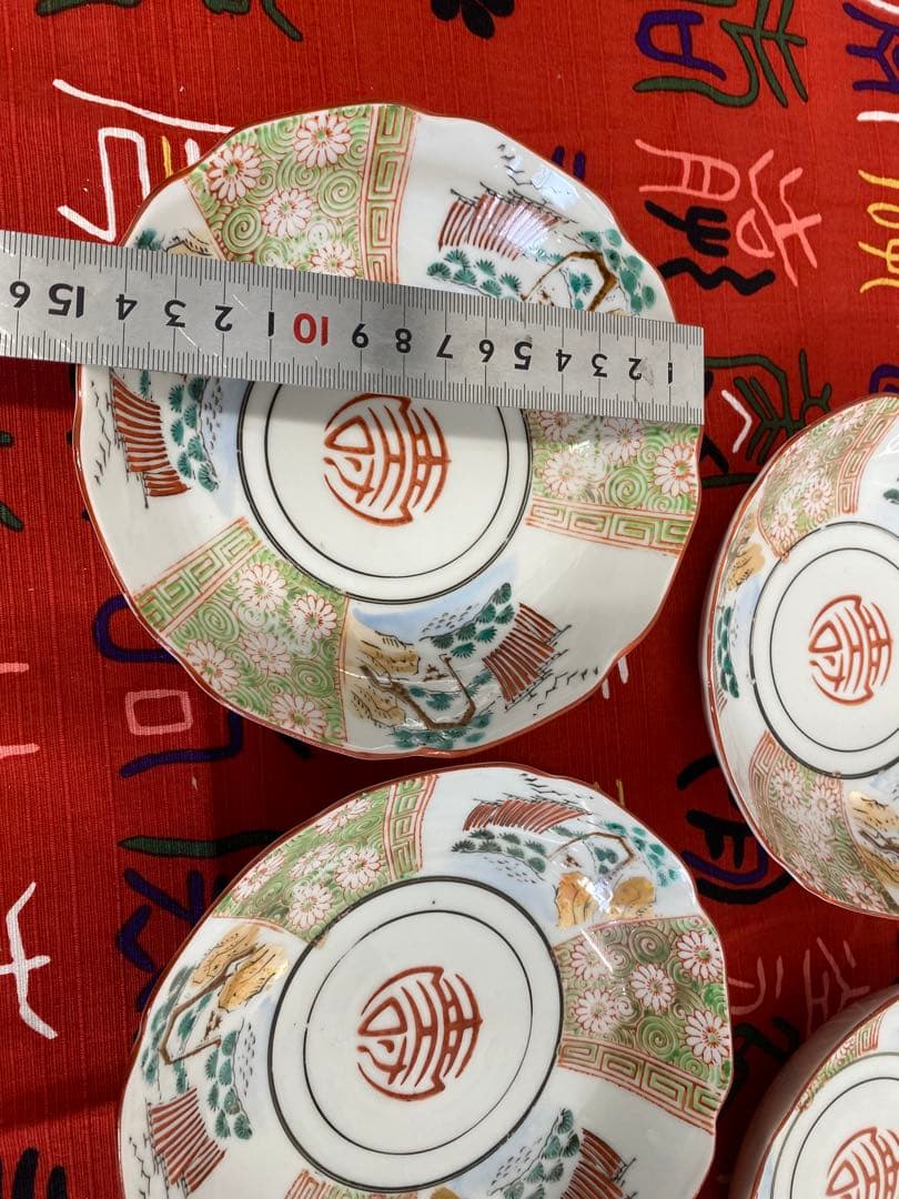 松の木 菊 貴重な掘り出し物