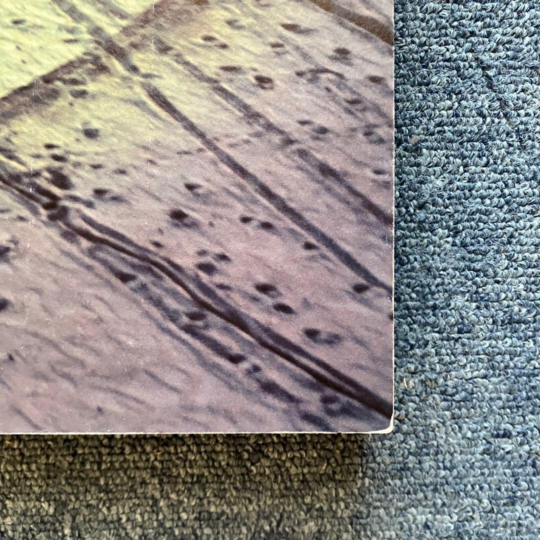 志賀理江子 『螺旋海岸』 サイン入 展覧会フライヤー 付　lieko shiga