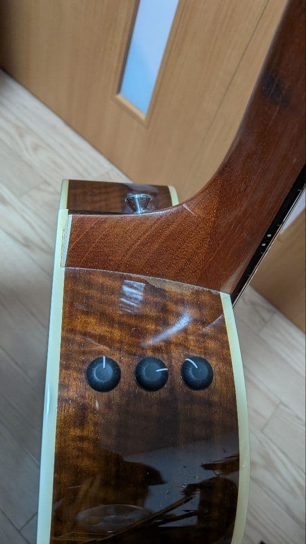 Taylor 214CE-CF DLX SB　エレアコ