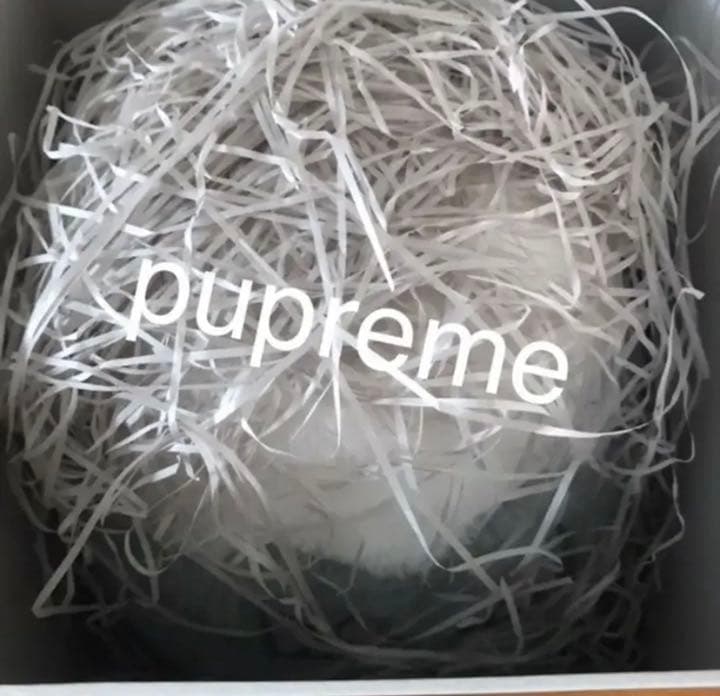 その他 Kaws Holiday Mount Fuji Plush Grey