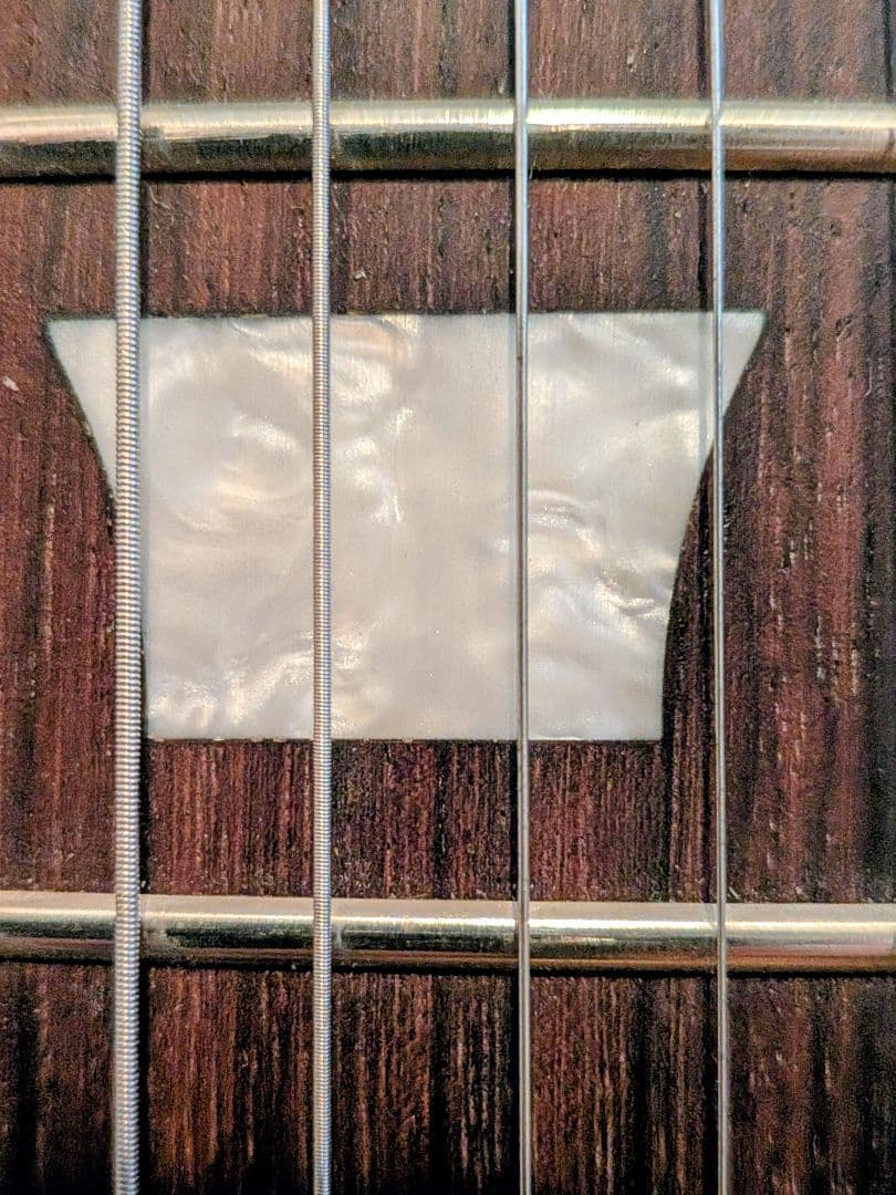 Blitz Leopard エレキギター サンバースト本体のみ