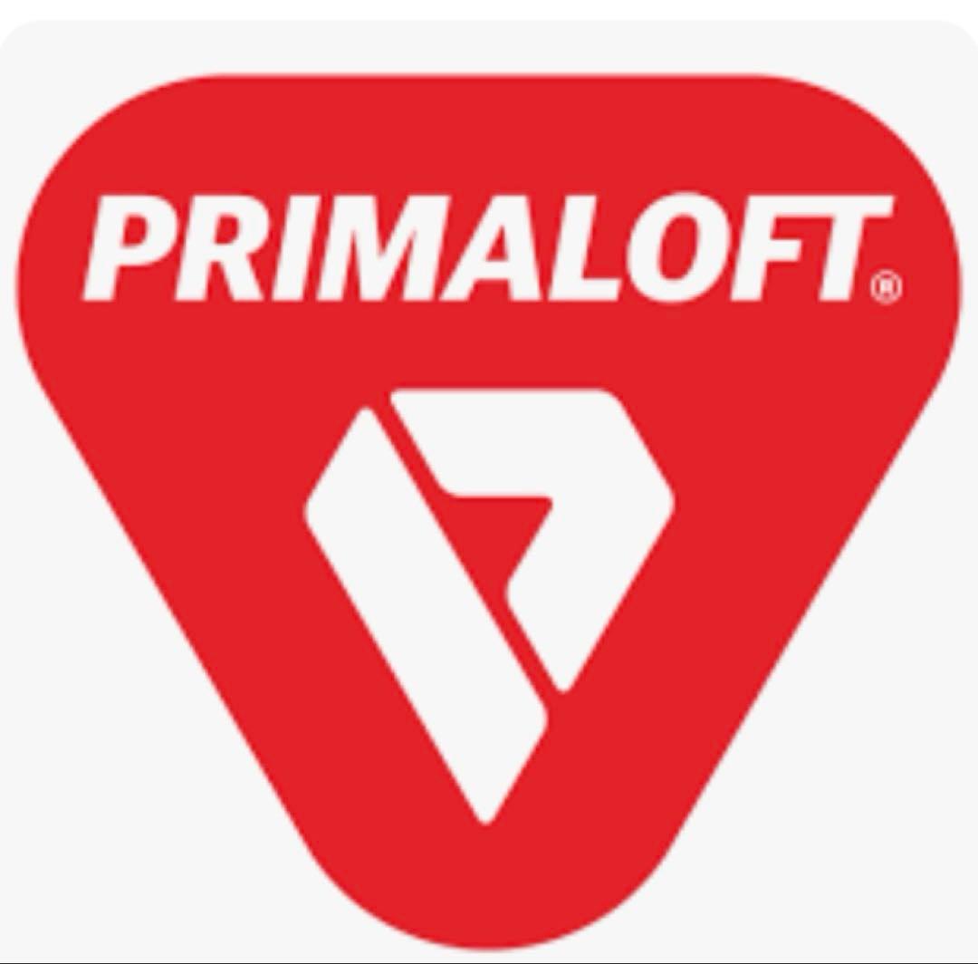 THE NORTH FACE スノーボード ウェア レディース メンズ