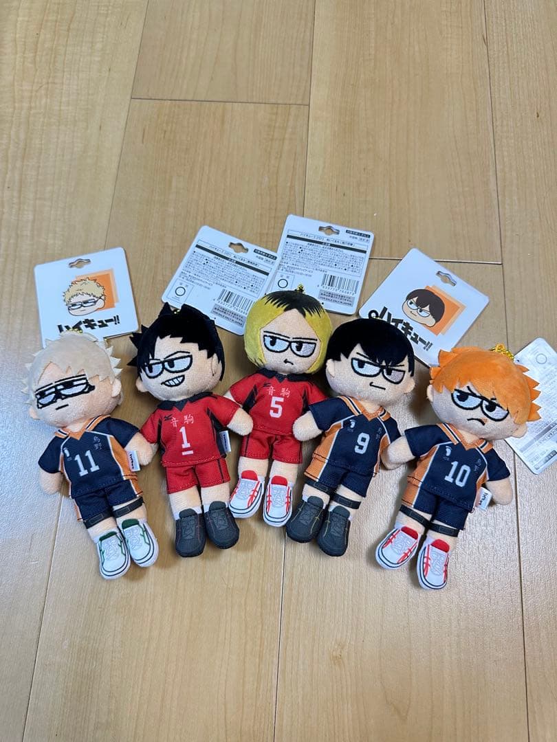 ハイキュー!! ぬいぐるみ5体セット + ポストカード13枚
